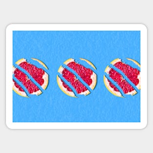 Three broken grapefruit on electric blue background Sticker
